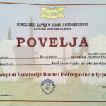 Campionato Federazione Bosnia